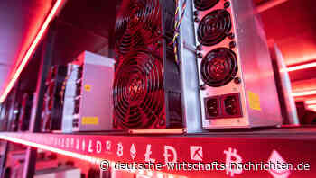 Krypto-Kreditgeber stoppt Auszahlungen: Bitcoin-Preis sackt ab