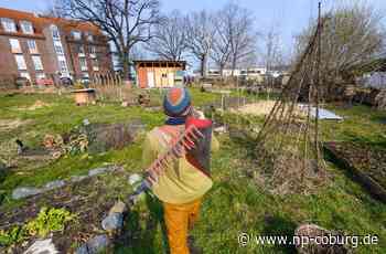 Urban Gardening in Coburg - Grüne wollen mehr Nutzgärten in der Stadt - Neue Presse Coburg