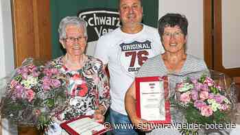 SWV Wildberg: Verein bleibt weiter ohne Spitze