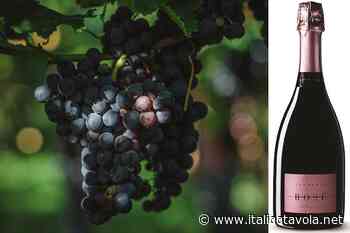 Il Rosé Brut di Cantina Tollo rallegra i brindisi nelle sere d’estate - Italia a Tavola