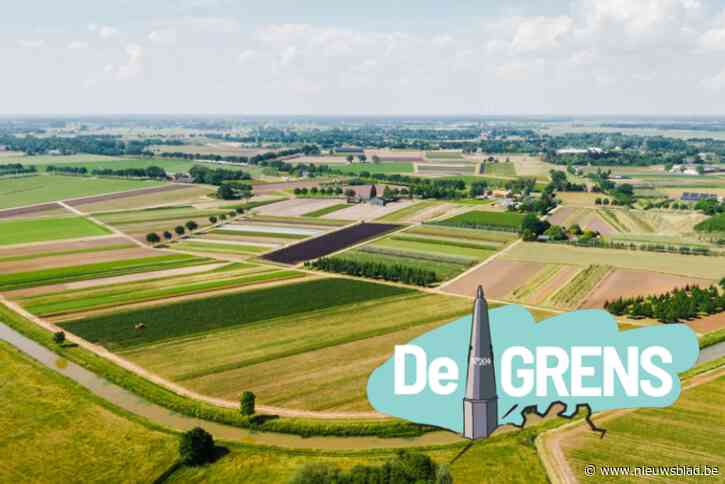 DE GRENS. Ideale bodem en historische teelt zorgen voor “grootste boomkweekgebied van Nederland”