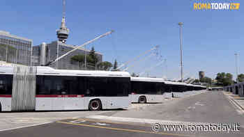 VIDEO | Al Laurentino torna il filobus, Gualtieri: "Presto altre due linee oltre al 74"