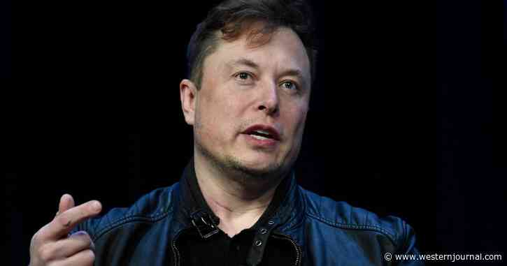 Elon Musk Says the Unspeakable About the Trans Movement and the 'Tolerant' Crowd Is Seriously Ticked Off