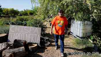 Latino activism leads in grassroot efforts on climate change