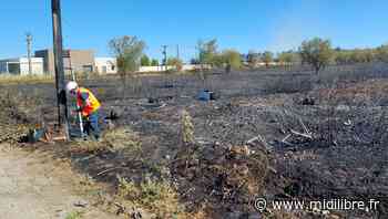 Beaucaire : l'incendie est terminé, plus d'une dizaine d'hectares ont brûlé - Midi Libre
