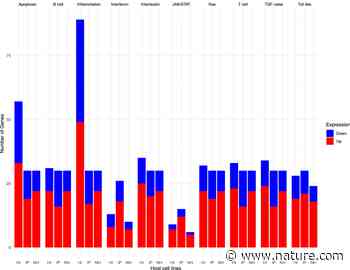 Differing coronavirus genres alter shared host signaling pathways upon viral infection | Scientific Reports - Nature.com