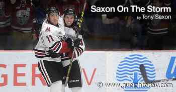 Scott Walker talks about his return to the Guelph Storm bench - GuelphToday