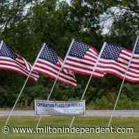 Operation Flags for Heroes returns to Colchester and Milton from the local Rotary Club - Milton Independent