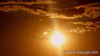 First heat event issued for Oakville, Burlington, Milton and Halton Hills | inHalton - insauga.com