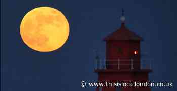 Strawberry Moon 2022: How to see the moon in London