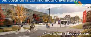 330 arbres abattus pour le passage du tramway à l’Université Laval