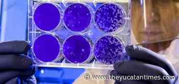 Italy's coronavirus infection rate is on the rise again - The Yucatan Times