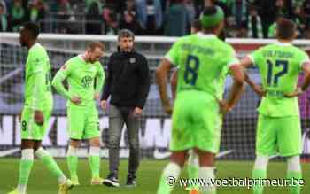 'KRC Genk wil Van Bommel halen als opvolger voor Storck' - VoetbalPrimeur.be