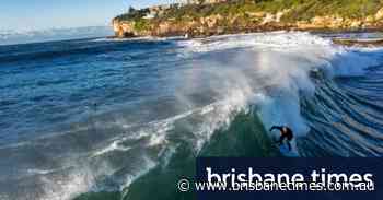 ‘You wait your whole life for these days’: Big wave surfers enjoy Sydney’s huge swell - Brisbane Times