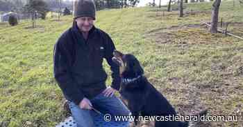 Simon Hedges and truffle dog Jimmy sniff out winter truffles for Sydney fine diners - Newcastle Herald