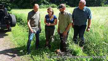 Kreisjägervereinigung Calw: Rehkitze werden vor sicherem Tod gerettet