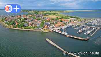 Kreis besteht auf baldiger Schlei-Entgiftung