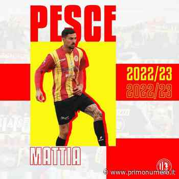 Termoli, le conferme salgono a 5: ha firmato anche il difensore Pesce - Primonumero