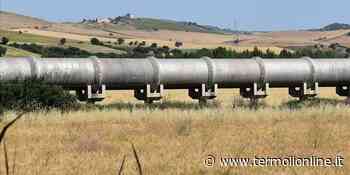 La sete dei molisani e il Consorzio di Bonifica del basso Molise - Termoli Online