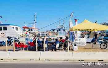 Caro gasolio: marineria Termoli, riduzione per stop protesta - Sky Tg24