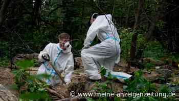 Ukraine-Krieg: Sieben weitere Leichen in Grube nahe Butscha entdeckt