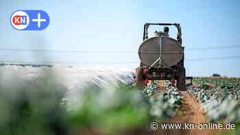Landwirte fordern von Günther ein CDU-geführtes Agrarministerium in SH