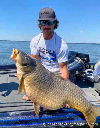 Oh, CARP! 44-Year-Old Md. Fishing Record Broken - Chesapeake Bay Magazine