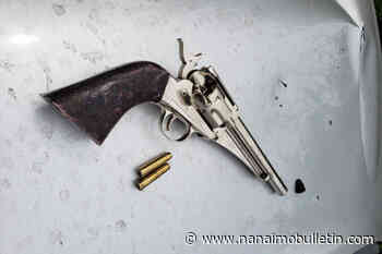 Man brandishes replica gun in alleged break-in, crashes head-on into Nanaimo RCMP vehicle