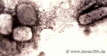 Erster Fall von Affenpocken im Kreis Neu-Ulm gemeldet - DONAU 3 FM