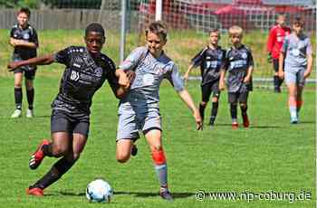 Doc-Hajo-Cup beim FC Kronach - Ein Festival des Nachwuchsfußballs - Neue Presse Coburg