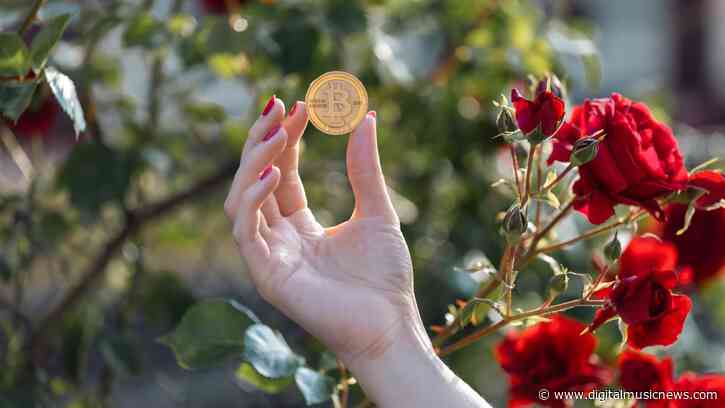 Music NFT Startup anotherblock Raises $2.5 Million As Crypto Crashes