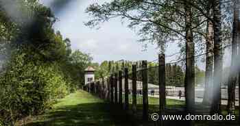 Gedenkgottesdienst für selige Märtyrer von Dachau - DOMRADIO.DE - DOMRADIO.DE