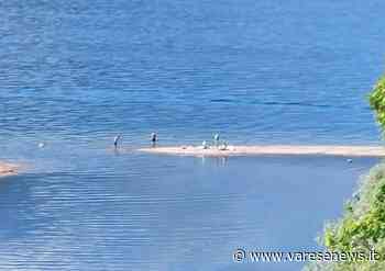 Il monito del sindaco di Germignaga Marco Fazio: “Non andare a fare il bagno alla foce del fiume Tresa" - varesenews.it