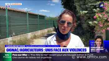 Gignac: professionnels, riverains et municipalité unis après l'agression d'une agricultrice - BFMTV