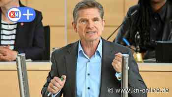 FDP-Chef Garg gibt Posten auf