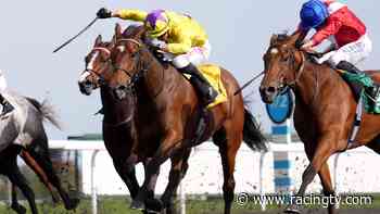 Ayr preview: My Astra hunting Listed honours for Haggas team - Racing TV