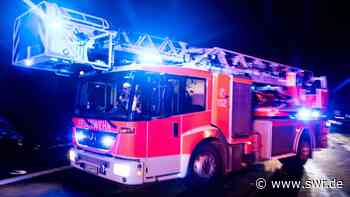 Rheinauer Hafen Mannheim: Brand in Recyclingbetrieb - SWR Aktuell