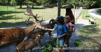Kleine Wanderungen in und um Ravensburg - WOCHENBLATT