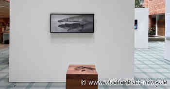 Neue Ausstellung in der Sparkassengalerie Ravensburg: PANAMA oder „Gott würfelt nicht“ - WOCHENBLATT