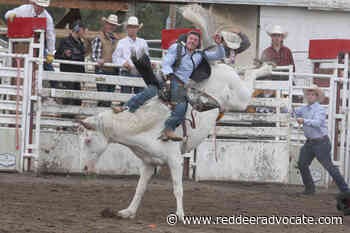 Daines Ranch Pro Rodeo returns this weekend – Red Deer Advocate - Red Deer Advocate