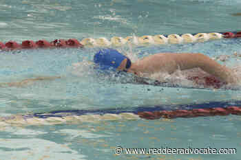 Freeze or Fry swim meet makes a splash in Red Deer - Red Deer Advocate