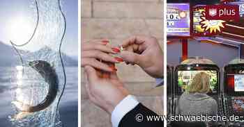 Von Namensänderung bis Gewerbeanmeldung: Stadt Ravensburg will Gebühren erhöhen - Schwäbische