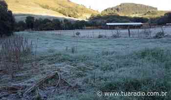 Com temperatura chegando a -4ºC, Soledade amanhece branca de geada - Tua Rádio