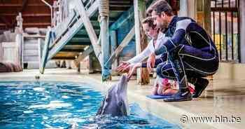 Tot twintig maanden cel voor inbraak in Boudewijn Seapark - Het Laatste Nieuws
