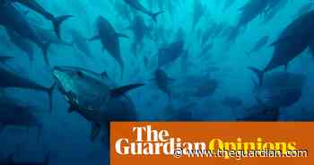 Dogger Bank is about more than shipping forecasts: it shows how we can rewild our seas - The Guardian