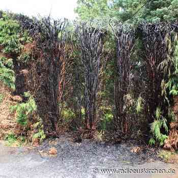 Höchste Vorsicht beim Unkrautflämmen angeraten! - radioeuskirchen.de