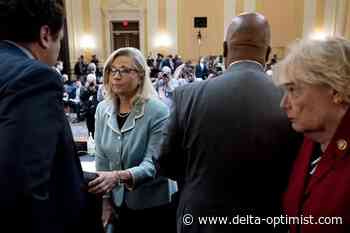 Jan. 6 witness: Trump 'detached from reality' over election - Delta Optimist