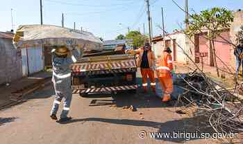 Prefeitura de Birigui retira 65 toneladas de entulho durante ação no bairro Margareth Vargas - birigui.sp.gov.br