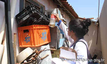 Secretaria de Saúde de Birigui promove mutirão de combate ao mosquito Aedes aegypti em 13 bairros - birigui.sp.gov.br