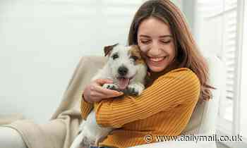 Pet pooches are like surrogate children to their owners, expert says 